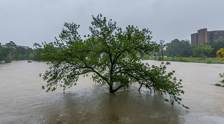 Buffalo Bayou Flooded